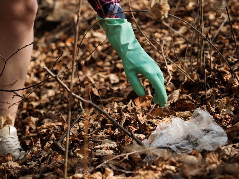 Doğa Dostu Kampçılık: Huzurlu Doğa Kaçamağınızı Çevreye Saygılı Şekilde&nbsp;Yapın